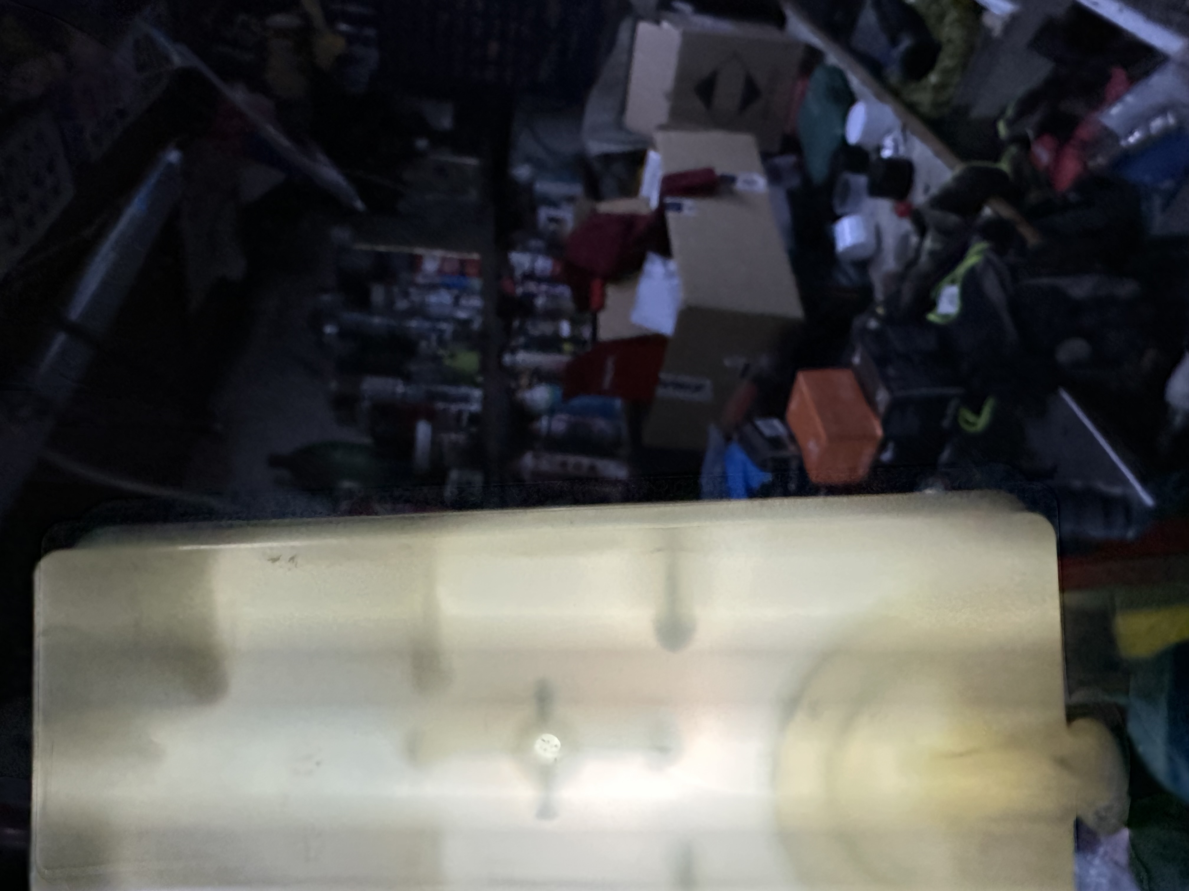 IMG_6102.jpeg