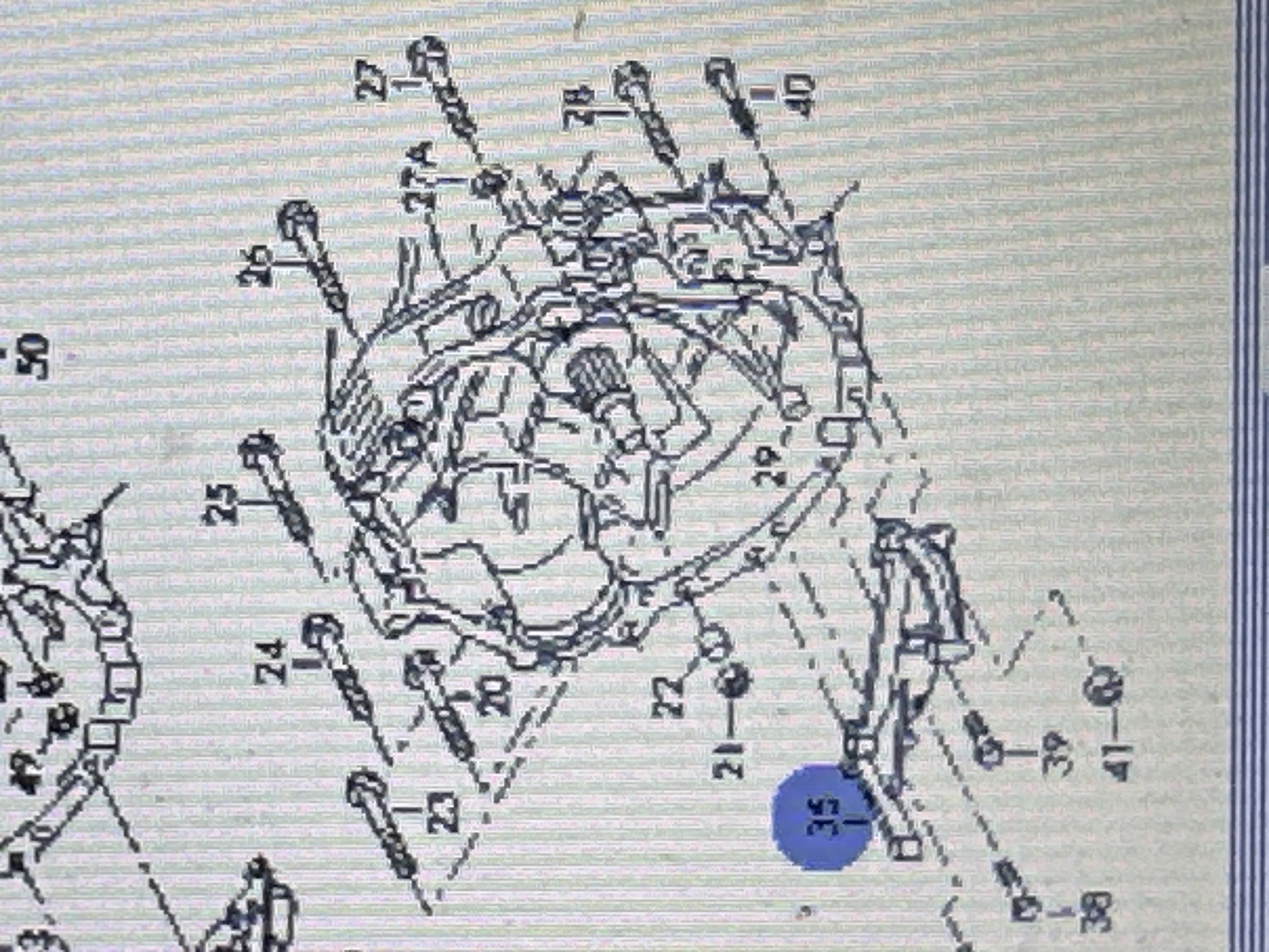 image.jpg